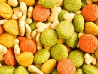 Hundefutter ohne Getreide