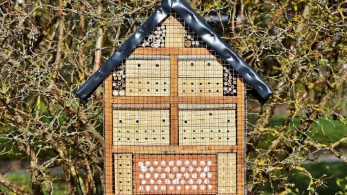 Insektenhotel Füllung Ratgeber: Insektenhotel Füllung
