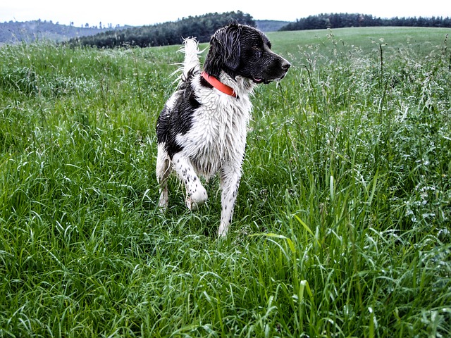 Beste Spielothek in Haynsburg finden Beste Spielothek in Haynsburg finden