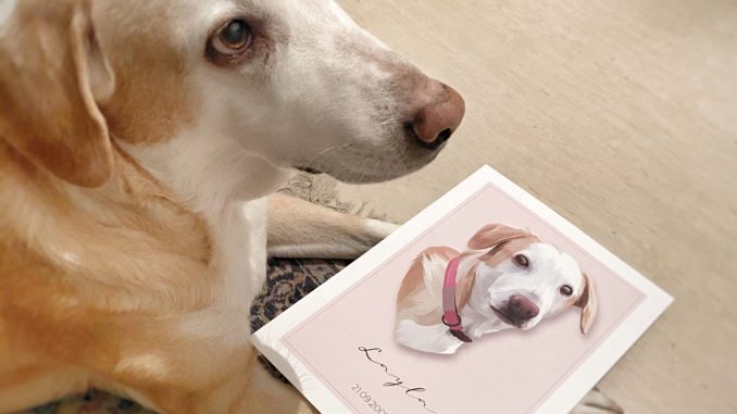 tierportrait